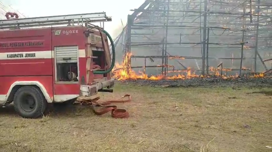 Gudang Tembakau PTPN X Regional 5 di Curah Ancar Rambipuji Terbakar, Kerugian Ditaksir Rp120 Juta